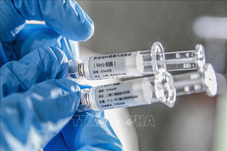 Các mẫu vắcxin phòng COVID-19 được phát triển tại công ty công nghệ sinh học Sinovac ở Bắc Kinh, Trung Quốc ngày 16/3/2020 - Ảnh: THX/TTXVN