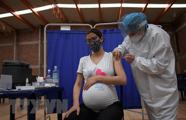 Tiêm vắc xin ngừa COVID-19 cho phụ nữ mang thai tại Bogota, Colombia. Ảnh: AFP/TTXVN