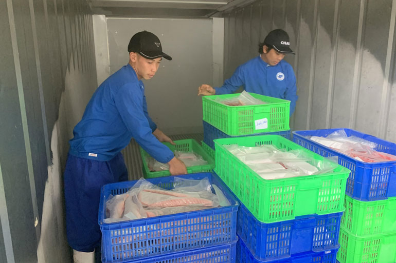 Công nhân Công ty TNHH Hải sản Bình Minh vận chuyển hải sản vào Kuraban để bảo quản. Ảnh: LỆ VĂN