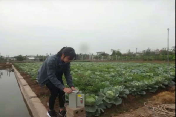 Sản phẩm được sử dụng hiệu quả tại vườn rau của các hộ dân xã Quốc Tuấn
