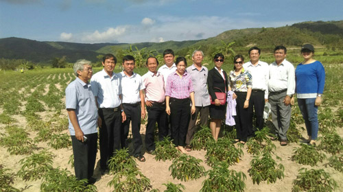 Đoàn giám sát đi thực tế tại diện tích trồng sắn ở xã  Xuân Sơn Nam, huyện Đồng Xuân, Phú Yên.