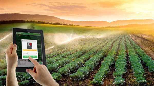 Ứng dụng IoT phục vụ tưới tiêu trong nông nghiệp