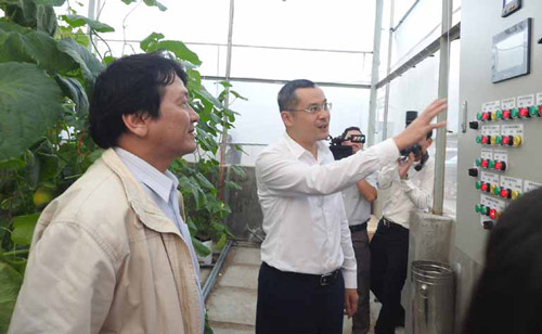 Chủ tịch UBND tỉnh Phạm Đại Dương tham quan mô hình trồng sung magic sử dụng hệ thống IoT tại Trung tâm Ứng dụng và Chuyển giao công nghệ Phú Yên - Ảnh: THÁI HÀ