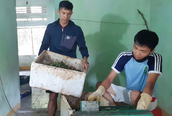 Phan Xuân Danh và Võ Ngọc Huy thực hiện công đoạn xay rác hữu cơ - Ảnh: KHANG ANH