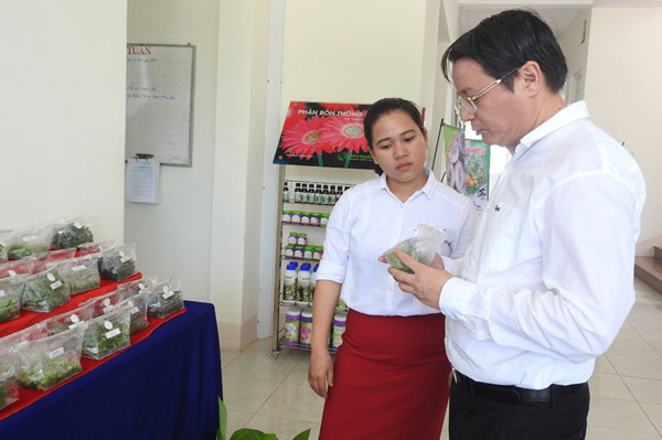 TS Tạ Việt Dũng, Cục trưởng Cục Ứng dụng và Phát triển công nghệ tham quan khu vực trưng bày sản phẩm tại Hội nghị các hoạt động Điểm kết nối cung - cầu công nghệ - Ảnh: THÁI HÀ