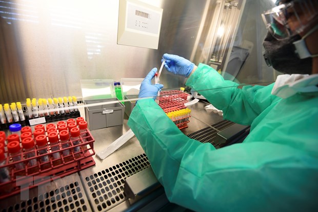 Nhân viên y tế xử lý mẫu bệnh phẩm COVID-19 tại phòng thí nghiệm của bệnh viện Circolo di Varese, Ý ngày 3/4/2020 - Nguồn: AFP/TTXVN