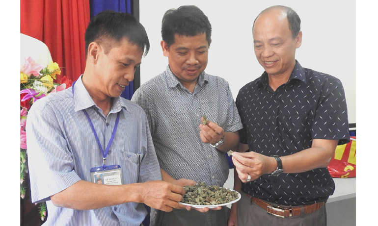 TS Đặng Văn Lái (phải) và TS Lê Xuân Sơn (trái) giới thiệu sỏi từ rác thải nhựa ứng dụng trong lĩnh vực xây dựng đến đại diện WWF. Ảnh: THÁI HÀ
