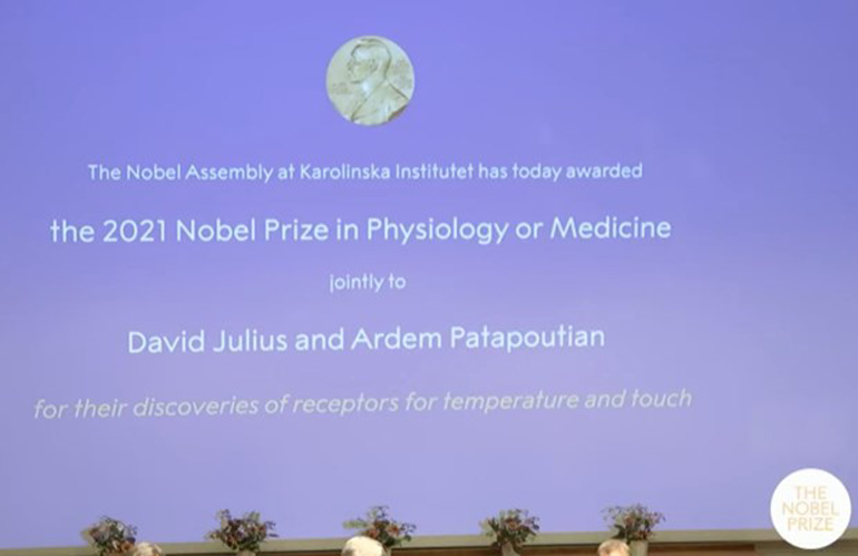 Hai nhà khoa học được vinh danh với giải Nobel Y Sinh 2021