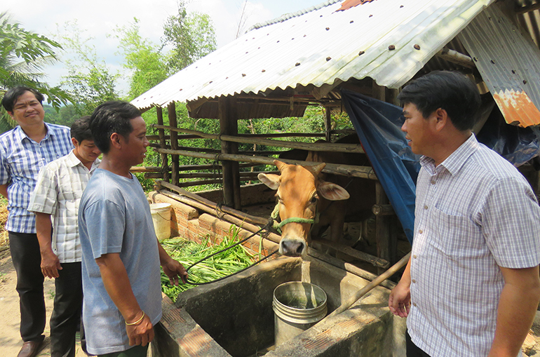 Phó Chủ tịch thường trực Ủy ban MTTQ tỉnh Hồ Hồng Nam (bìa phải) kiểm tra tình hình chăn nuôi bò tại hộ gia đình anh Bùi Văn Hiệp ở thôn Xí Thoại, xã Xuân Lãnh (huyện Đồng Xuân). Ảnh: THÚY HẰNG
