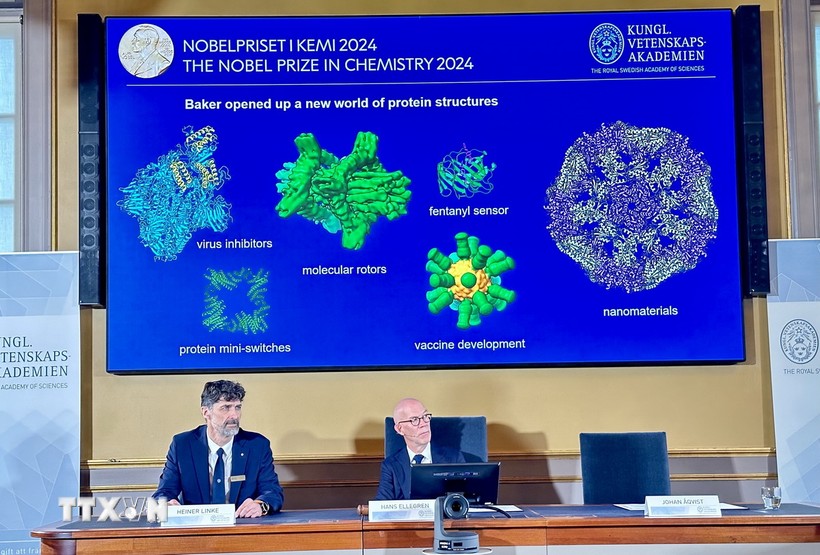 Lễ công bố giải Nobel Hóa học năm 2024 tại Viện Hàn lâm Khoa học Hoàng gia Thụy Điển ở Stockholm. Ảnh: AA/TTXVN