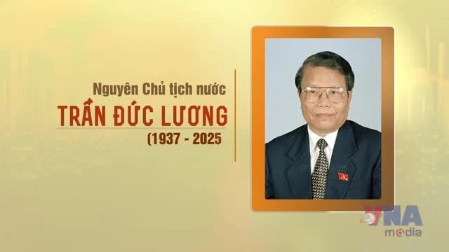 Tóm tắt tiểu sử nguyên Ủy viên Bộ Chính trị, nguyên Chủ tịch nước Trần Đức Lương